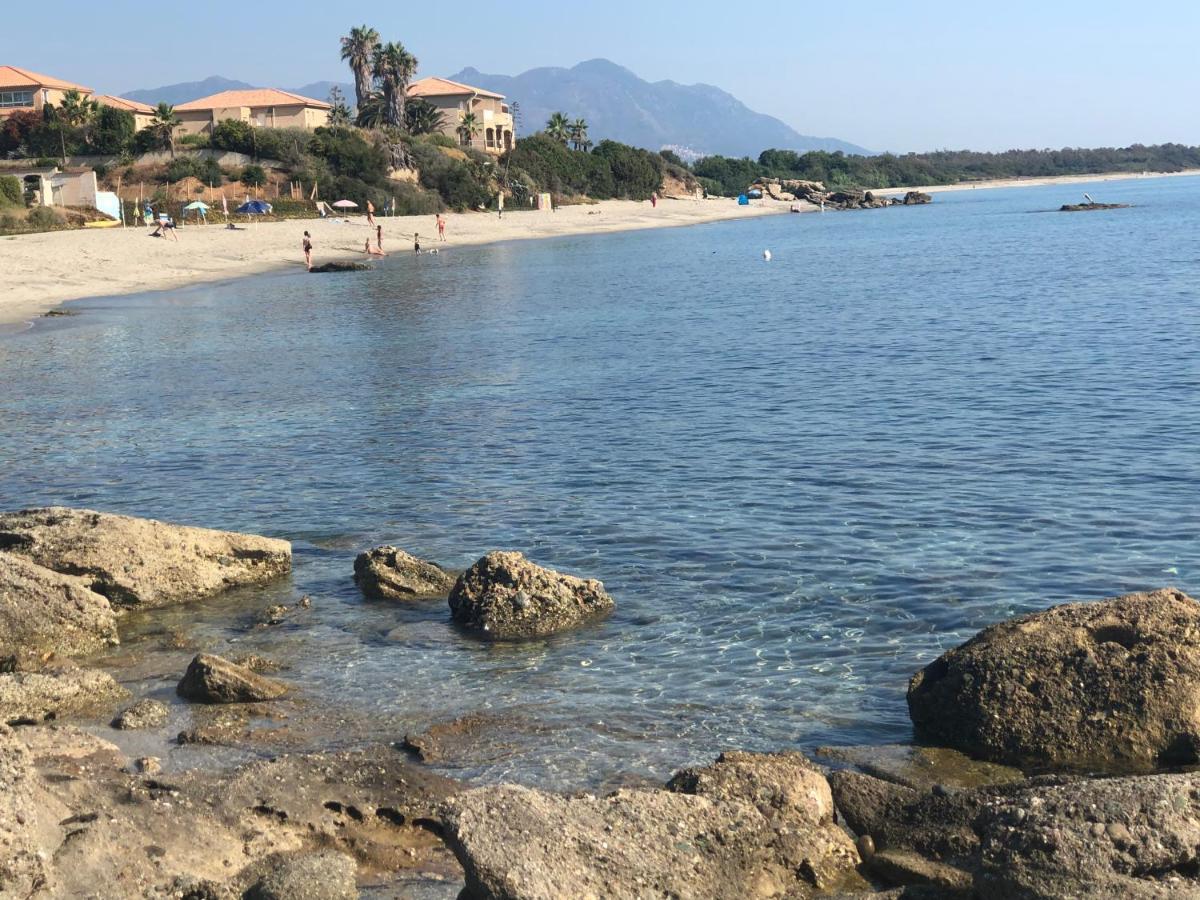 La Corse Tranquille 300M De La Plage Et Piscine Linguizzetta Exterior foto